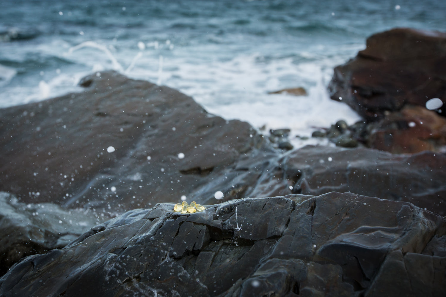 Why take Omega 3 harp seal oil